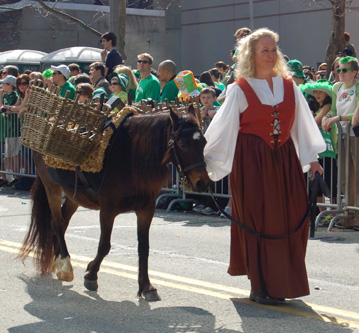 Kerry Pog Ponies at Irish Festivals
