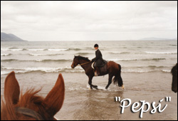 Mare named Pepsi